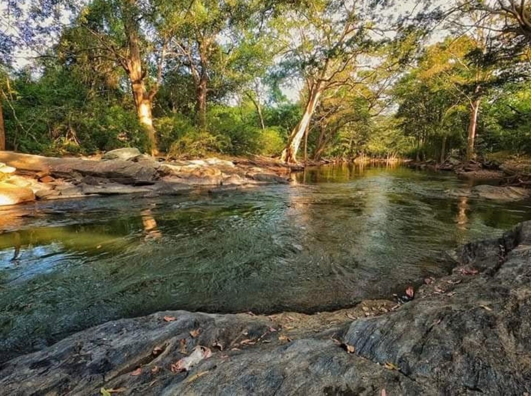 Ganga Dige riverside nature experience