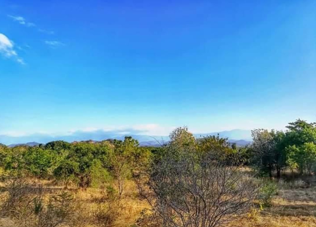 Wild Hasthi experience